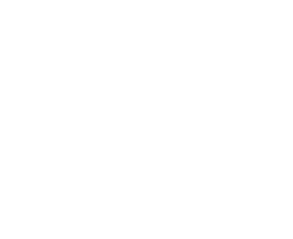 Логотип Янита